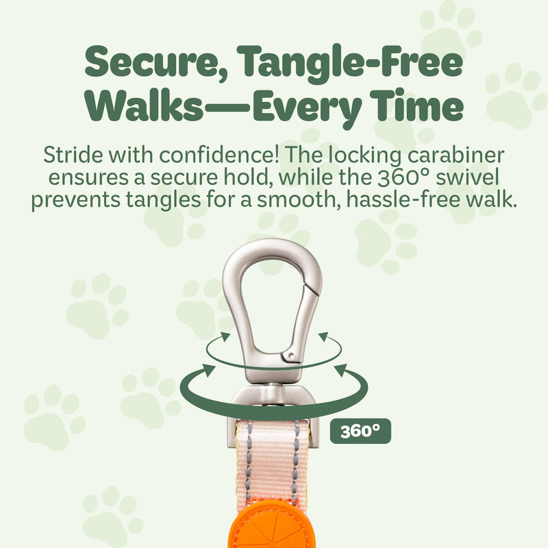 Desired Things Bungee Dog Leash Reflective Training Leash with Shock Absorbent Spring, Emergency Pull Handle, Collar Latch, D-Ring Buckle for Dog Treats, Poop Bags, Puppy Essentials - Pink and Orange - PawsPlanet Australia