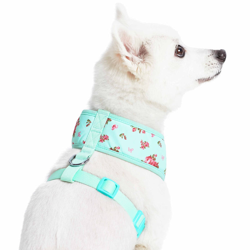 Blueberry Pet Floral Dog Vest Harness, Turquoise, X-Small | No Pull, Lightweight & Comfy Fit for Puppies and Small Breeds | Award-Winning Design for Girl Dogs - PawsPlanet Australia