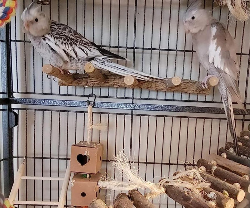 Bird Parrot Ladder Perch for Cage, Nature Wooden Bird Bridge Exercise Stands Parrot Climbing Chewing Toys for Small Animal A - PawsPlanet Australia