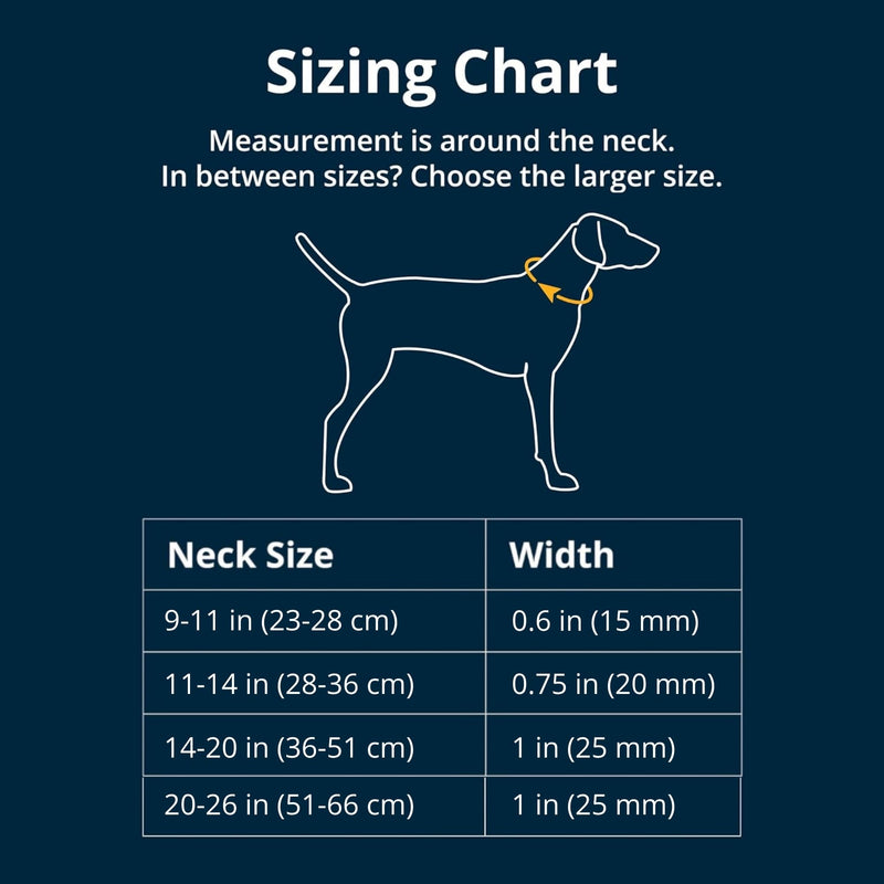 RUFFWEAR Hi & Light Dog Collar, Ultra Strong & Lightweight, Strong Tubelok Webbing, Aluminium Lead Attachment Ring & Side-Release Buckle, Stylish Neck Wear Accessory, Sage Green (Extra Small, 23-28cm) 9"-11"