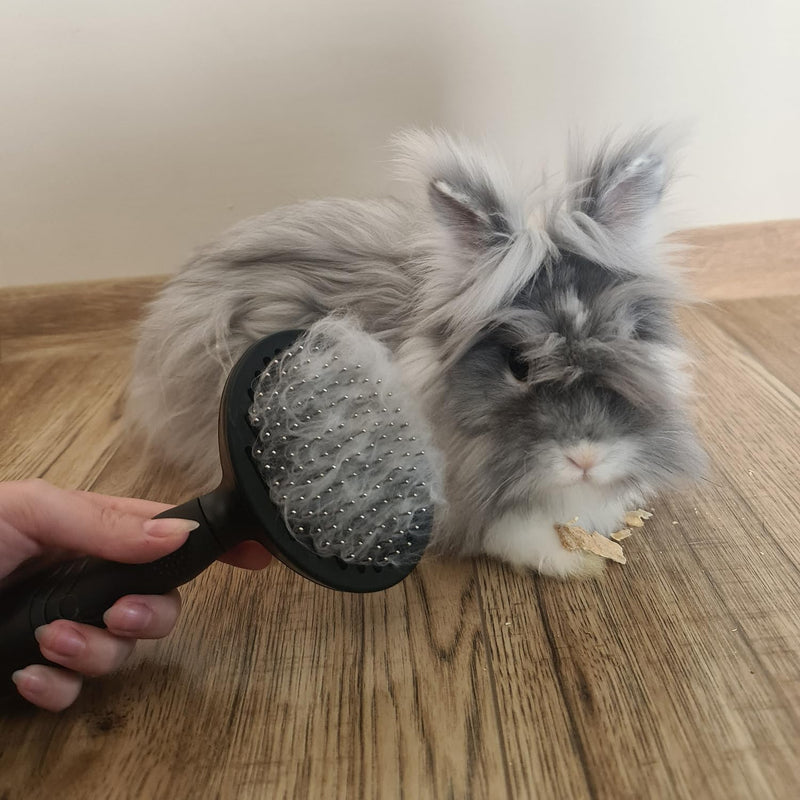 Purlov 18905 Dog Brush Cat Brush Cleaning Long Hair Short Hair Dogs Puppies Undercoat Fur Coat Stainless Steel - PawsPlanet Australia