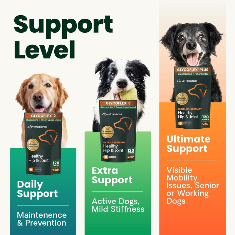 VETRISCIENCE Glycoflex 3 Maximum Strength Hip & Joint Support for Small Dogs Under 30lbs - Glucosamine, DMG, MSM & Green Lipped Mussel - Great Tasting - Vet Recommended, (0900669.060) - PawsPlanet Australia
