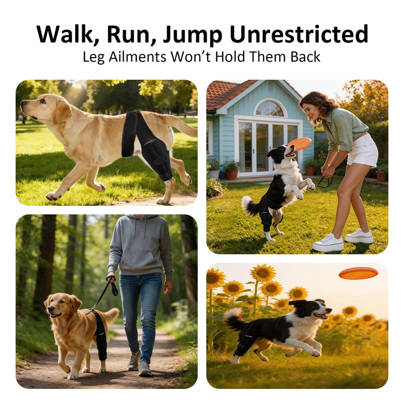 Dog Knee Brace for Hind Leg, Dog Knee Brace for Torn ACL Leg, Adjustable Dog Hip Support for Luxating Patella, Adjustable ACL Recovery Aid for Dog Back Legs