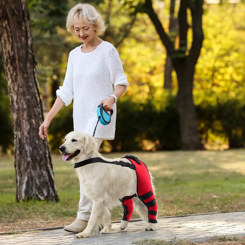 PETCUTE Dog Knee Brace,1 Pair Dog Elbow Brace Protector Pads,Adjustable Knee Brace Leg Support for Dogs Hind Legs Recover,Dog Leg Brace for Wound Injury and Sprain Healing of Arthritis L Red