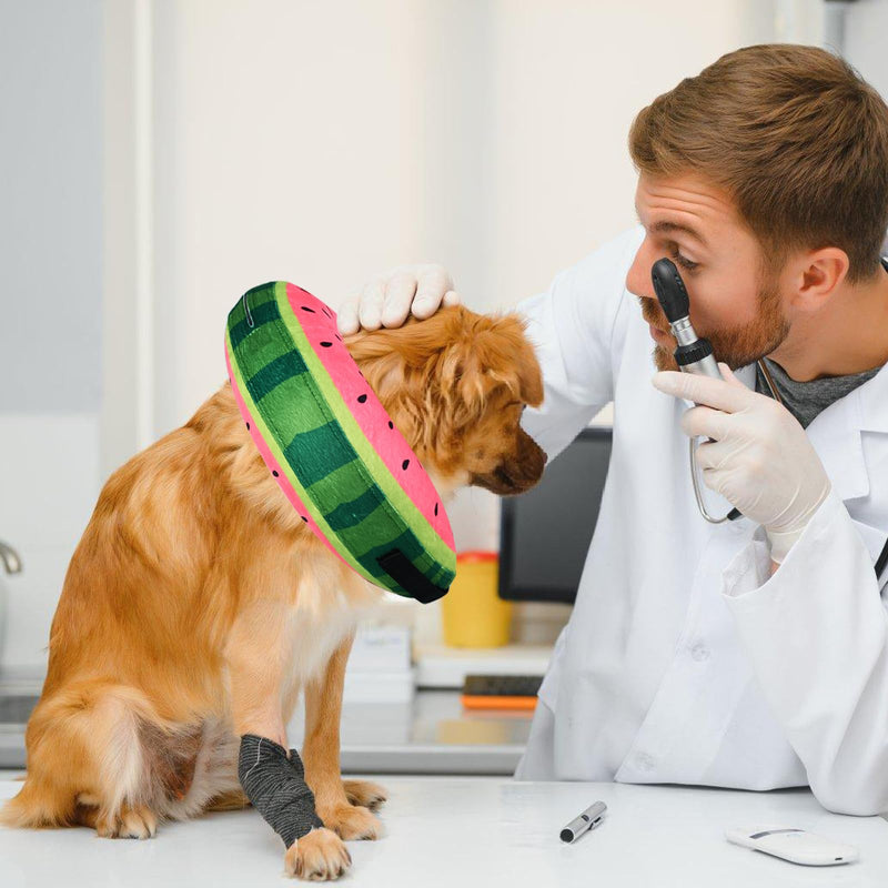 Inflatable Dog Cone Collar for After Surgery, Soft Adjustable Blow up Donut E-Collar for Small Medium Large Dog and Cats Watermelon Large (Neck: 15"-18")