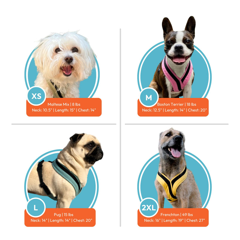 Gooby Comfort X One Dog Harness - Head-in Dog Harness for Small & Medium Sized Dogs - Escape-Free & Choke Free - Breathable Mesh, Shock Absorbing, Easy Snap & Swivel Buckles - Seattle Blue, Large Large Chest (19.25-22.75") - PawsPlanet Australia