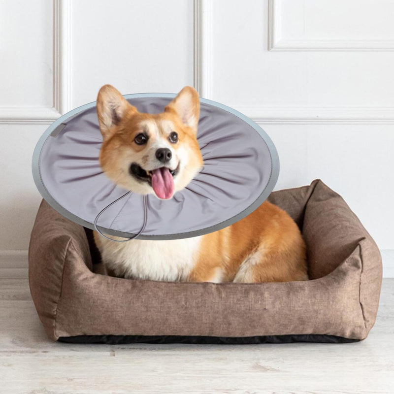 Recovery collar for cats, kitten cone - Adjustable recovery collar for cats - Comfortable Elizabethan pet collar, soft cat cone collar for kittens and puppies, grey, size L