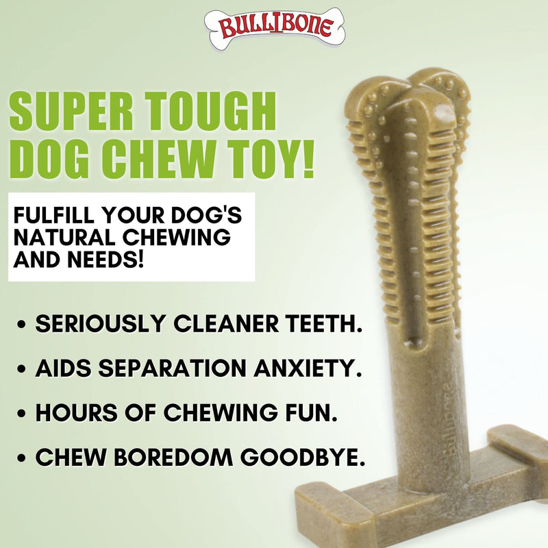 Bullibone SuperBrush: Dog Teeth Cleaning Brushing Toothbrush Stick - Long Lasting Nylon Chew Toy for Oral Care and Dental Health Super Greens - Single Large - PawsPlanet Australia