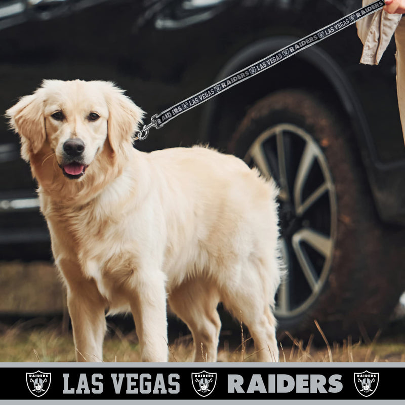 NFL PET Leash Las Vegas Raiders Dog Leash, Small Football Team Leash for Dogs & Cats. A Shiny & Colorful Cat Leash & Dog Leash Licensed by The NFL Team Color - PawsPlanet Australia