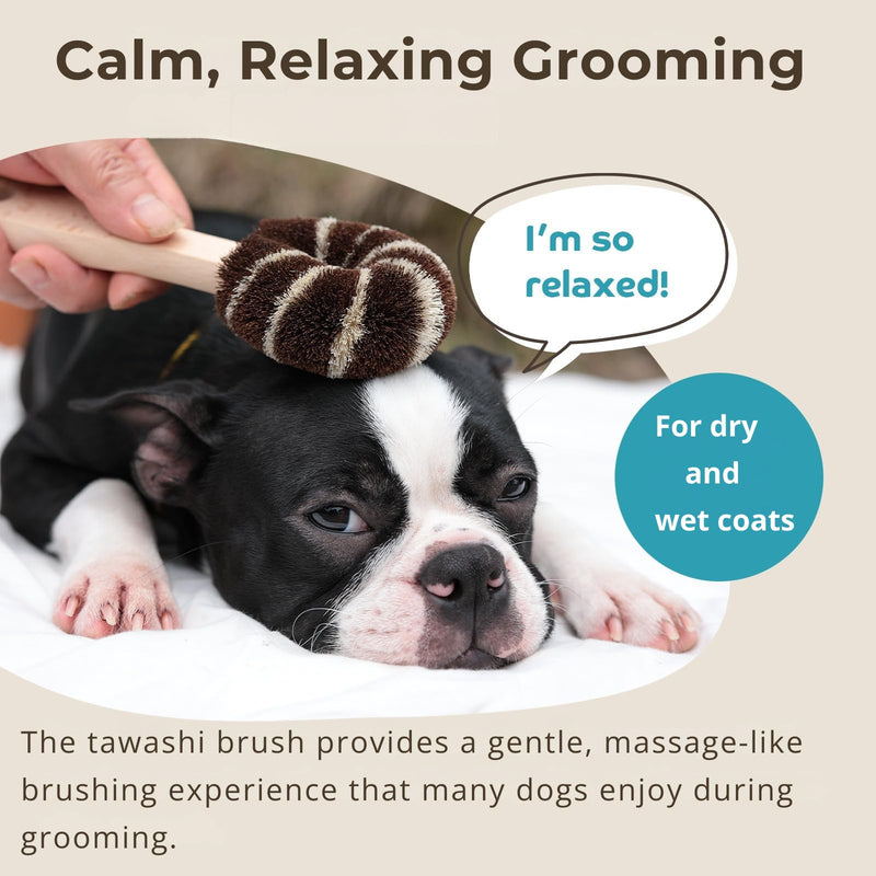 Natural Tawashi Dog Grooming & Massage Brush – Made in Japan, Gentle Palm Fiber Brush for Dogs, Relaxing Skin Stimulation, Low Static, Wooden Handle, Daily Dog Care Tool (Large Dog) Large dog