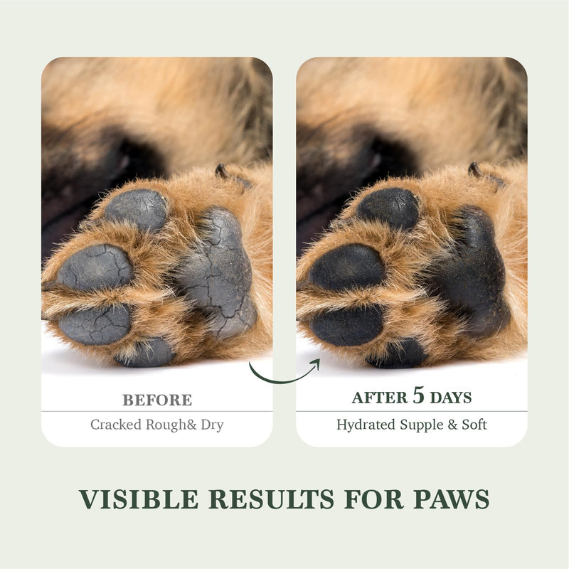 Dog claw wax &dog nose balm containing coconut oil , paw balm &dog paw balm| can save chapped claws and nose, safely lick, moisturize, repair and cure, is suitable for dogs, cats &horses, 2.1 oz/60g. - PawsPlanet Australia