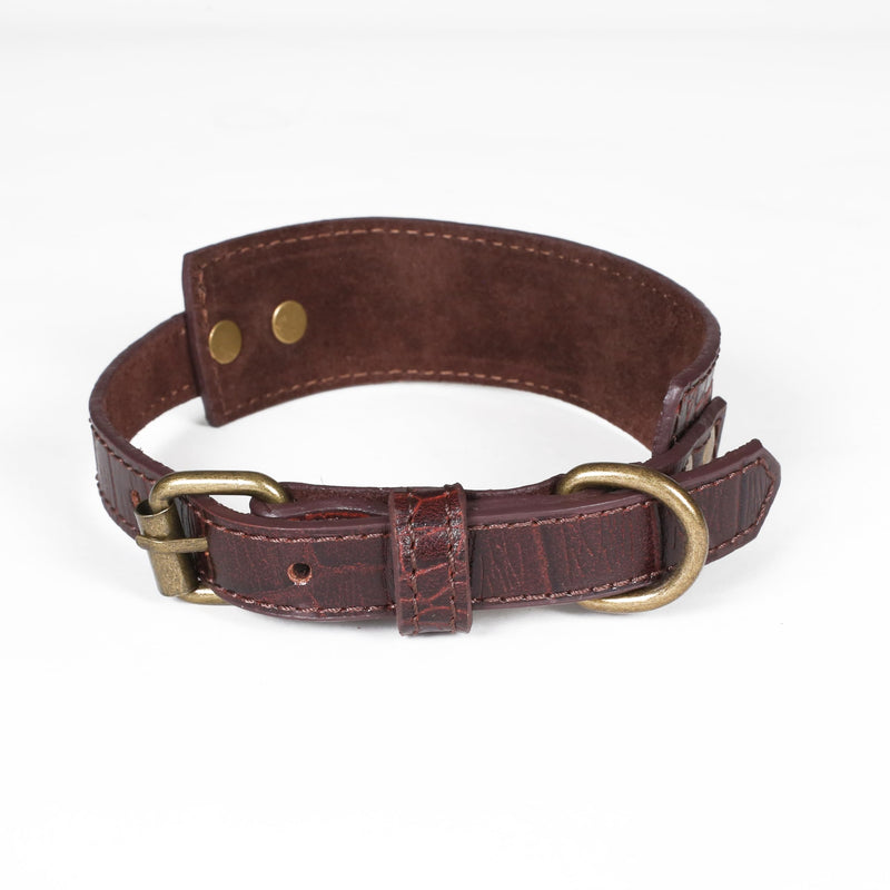 Lightnpro Genuine Leather Dog Collar & Leash Set - Adjustable 24" Collar with Metal Buckle + Durable Lead - Premium Walking & Training Gear for Large Breeds (German Shepherd, Bernese, St. Bernard) 24 Inch Collar Dark Brown