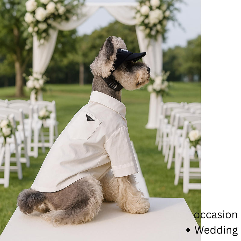 Luxury Pet Shirt for Hairless Cats – White Designer Button-Up Outfit, Formal Clothes for Wedding, Party, Photoshoot, Boy Puppy Kitten Sphynx (X-Small 2.2-3.3 lbs) X-Small 2.2-3.3 lbs - PawsPlanet Australia
