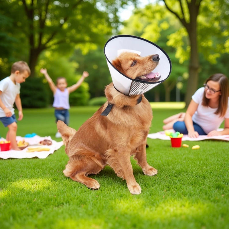 Dog Cone After Surgery, Adjustable Pet Recovery Collar for Dogs and Cats, Plastic Elizabethan Neck E-Collar Stop Licking Wounds (XXL-D) White XXL-D (Neck:16.5-18.1in) Deeper