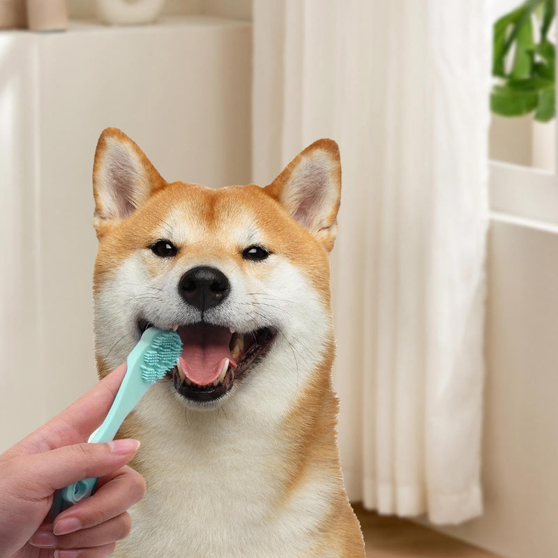 Dog toothbrush, silicone toothbrush for dog fingers, pet toothbrush in paw shape, toothbrush for care, green, 1 piece (pack of 1).