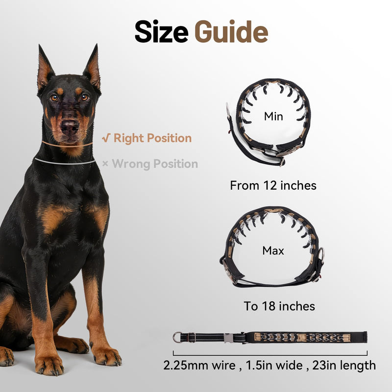 Hidden Prong Collar, Heavy Duty Martingale Design With Quick Release Metal Buckle, 2.25mm Pinch Collar for Dog Behavior Training & Daily Walking, Adjustable 12in-18in for Medium to Large Dogs