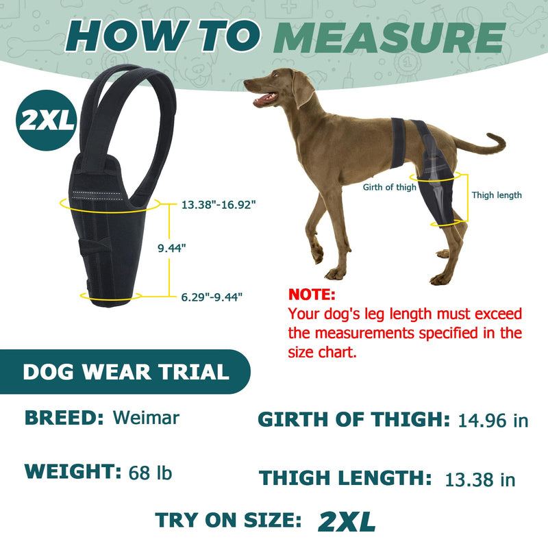 Dog Knee Brace for Back Leg – Adjustable Support Brace with 2 Metal Strips for ACL, CCL, Hip Dysplasia & Ligament Injuries, Fits Small, Medium & Large Dogs, Pain Relief & Stability (Left Leg, 2XL)