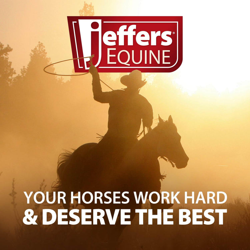 Jeffers Equine Sheath Cleaner for Horses – Gentle pH Balanced Wash with Tea Tree Oil & Aloe – Removes Dirt & Debris – Grooming & Hygiene Supplies for Geldings, Stallions & Mares – 16 oz - PawsPlanet Australia