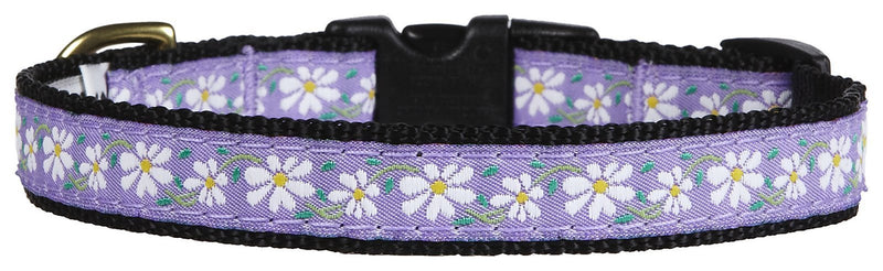 Up Country Daisy Collar - X-Small - PawsPlanet Australia
