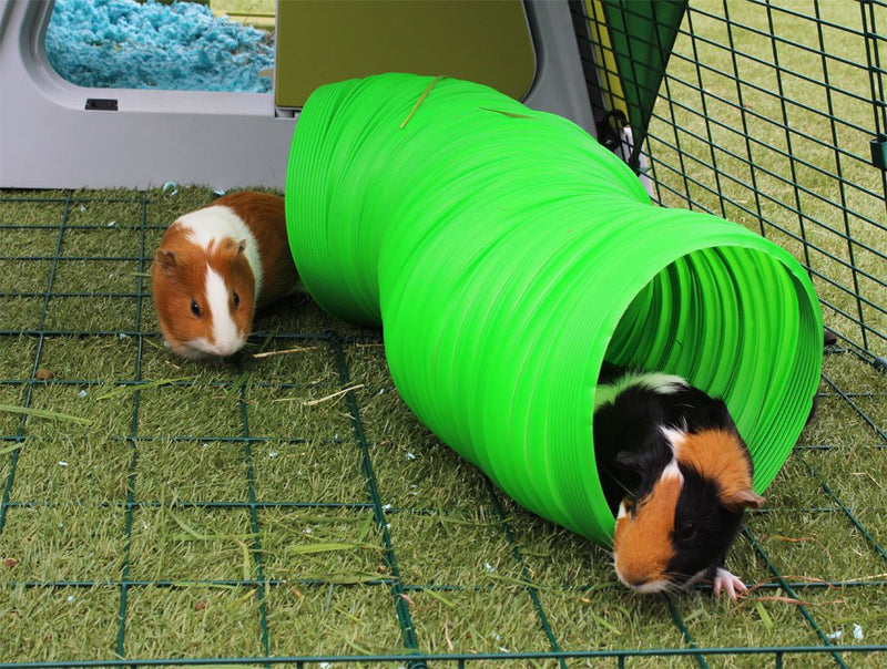 All Weather Flexible Bunny Warren Fun Tunnel, Green (Package May Vary) 1 - PawsPlanet Australia