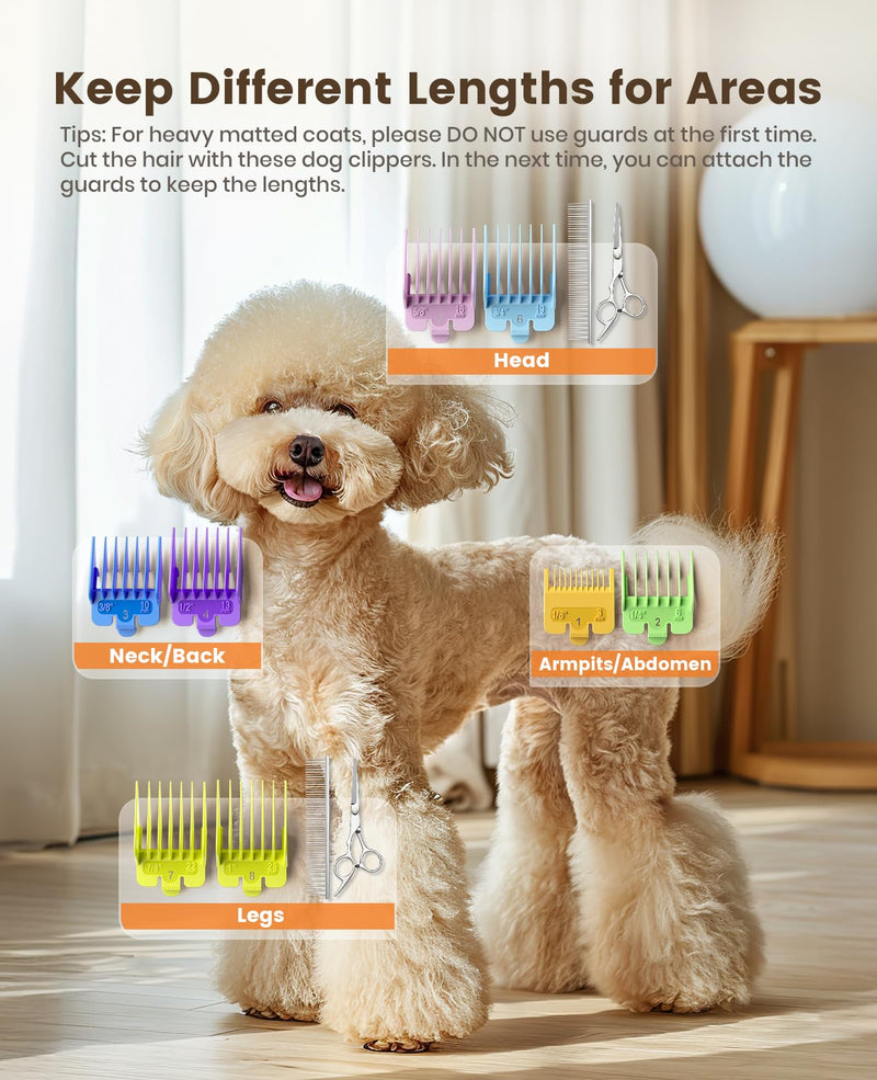 oneisall Dog Grooming Clippers for Thick Heavy Coats,Low Noise Cordless Dog Grooming Kit with Metal Blades, All Stainless Steel, 2 Speeds - PawsPlanet Australia