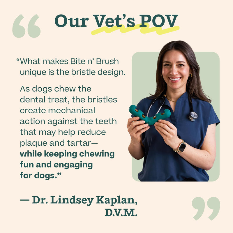 WOOF The Bite n' Brush - Dog Toothbrush Toy - Scrub Plaque and Tartar from Your Dog's Teeth and Mouth - Dog Dental Chew Toy - Small
