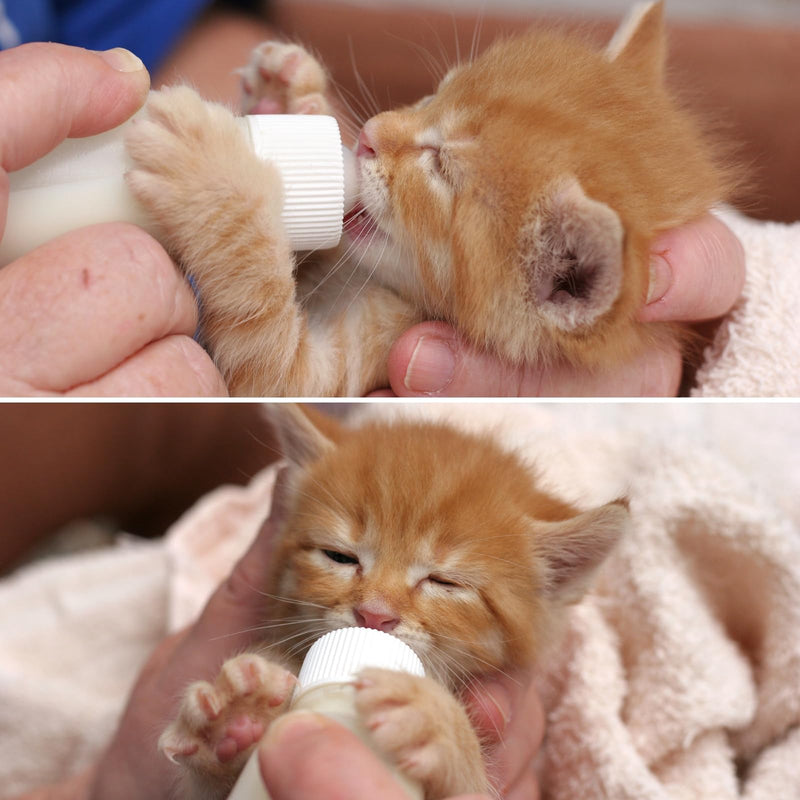 Pet Nursing Kit: 50ml Kitten and Puppy Feeding Bottle with 4 Syringes and 4 Nipples for Newborn Baby Cats, Dogs, Rabbits, Hamsters - PawsPlanet Australia