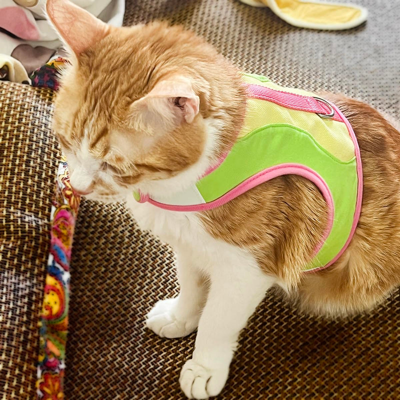 Adjustable Cat Wrap Harness with 6ft Leash Soft Breathable Cat Walking Harness Leads (Green, Small) Green - PawsPlanet Australia