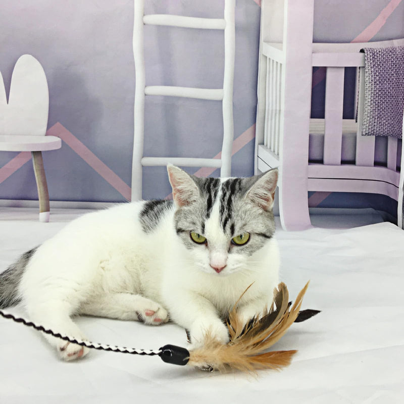 Cat Wand Toy, 2 PCS Interactive Cat Feather Wands with Bells Feather Toys for Teaser Play and Chase Exercise with Kitten - PawsPlanet Australia