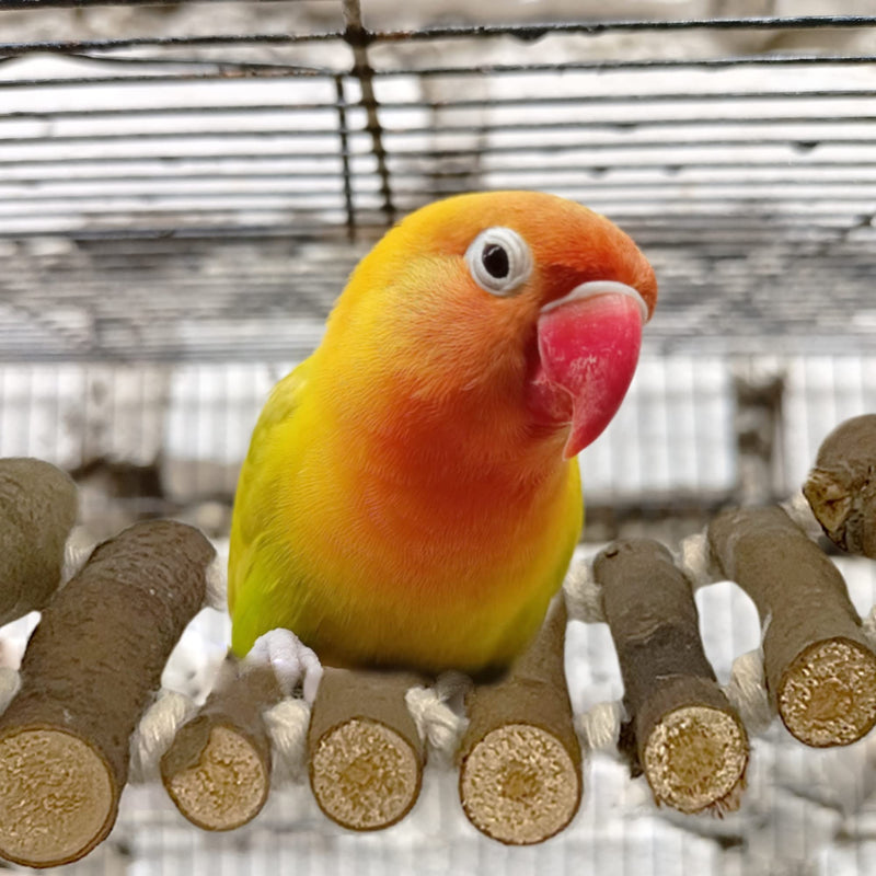 SIMENA Bird Cage Ladder, Parrot Bridge Made of Natural Wood and Rope, Interactive Bird Toy for Small and Medium Sized Birds and Parrots, Parakeets, Cockatiels, Amazon Parrots, Conures etc. Swing Ladder with Rope - PawsPlanet Australia