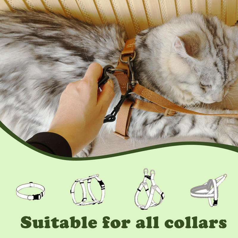 Dog Safety Clip for Prong Collar, Waterproof Leash Backup Clip Connector, Dual Clasps Rotating Buckle for Pinch Collar (2 Pcs) 2 Pcs Leash Black