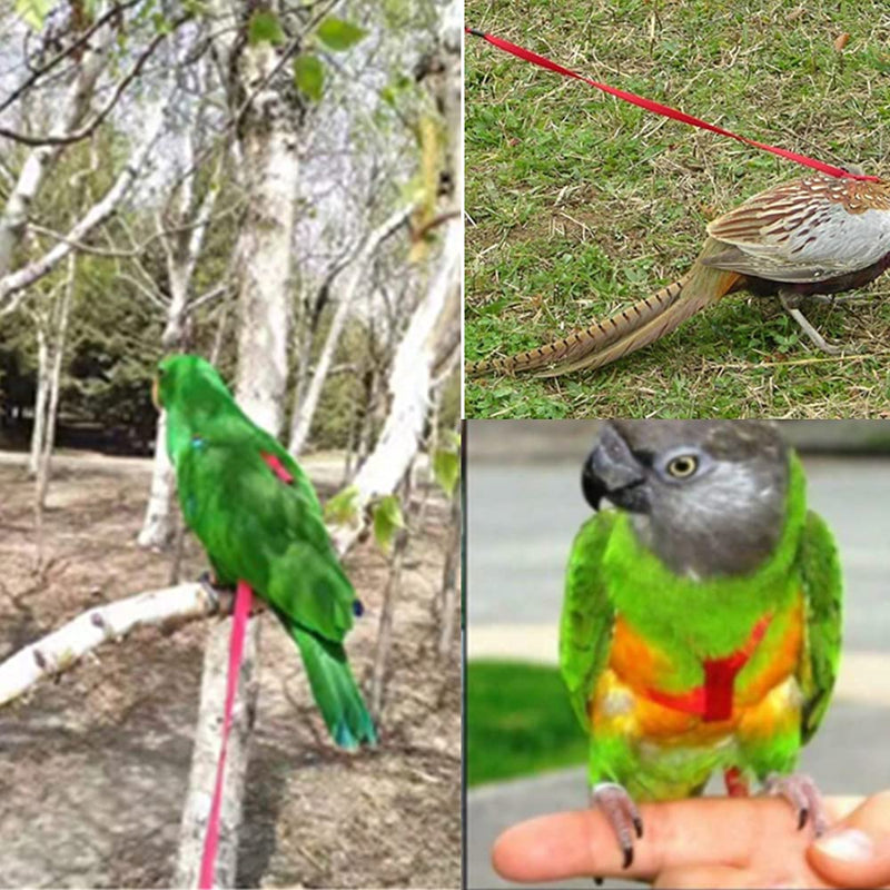 Adjustable Birds Harness and Leash Parrot Harness Leash Training Supplies Pet Anti-bite Outdoor Flying Rope for Conures Budgerigar Lovebird Cockatiel Mynah (S, Red) Small - PawsPlanet Australia