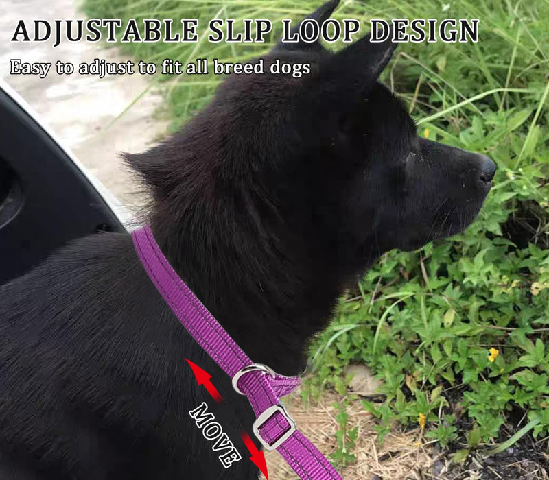 Slip Leash Dog Training Lead, Reflective Tangle-Free Adjustable No Pull Control Leash, 6 FT 3/4" Flat Wide Nylon with Padded Handle for Small Medium Dogs, Purple 3/4" x 6ft - PawsPlanet Australia