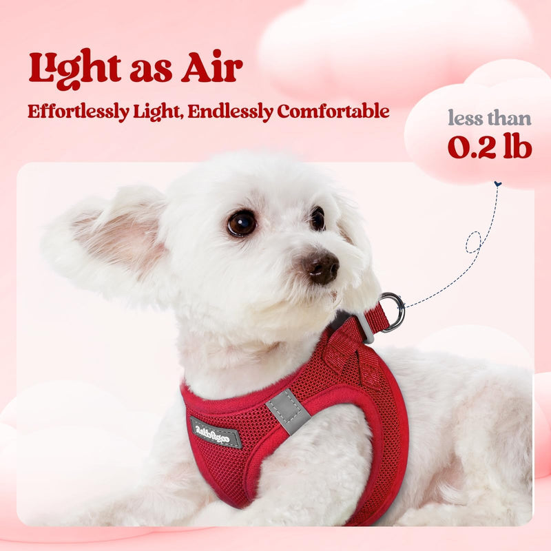 rabbitgoo Dog Harness Small Sized and Leash Set, Step in Soft Light Puppy Vest, Breathable Mesh Pet Harness, Reflective for Safe Easy Walking, Red M M (Chest: 16 - 18.5") - PawsPlanet Australia