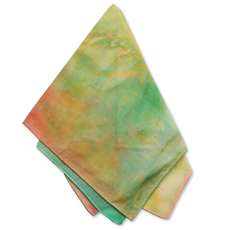 White Bandanas (Pack of 12) - PawsPlanet Australia