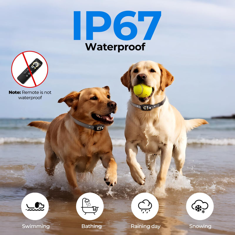 Dog Shock Collar for 2 Dogs (10-120Lbs), 4200FT Remote Training Collar with Light for Night Walks, 3 Training Modes, IP67 Waterproof Rechargeable E-Collar with Exclusive Shock Lock - PawsPlanet Australia