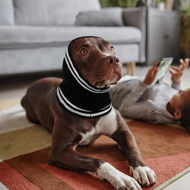 Nanaki Dog Ear Covers for Noise Bath No Flap Ear Wraps for Dogs Hematoma Dog Fireworks Anxiety Relief Calming Hoodie Dog Grooming Ear Cover Dog Head Wrap Force Drying Thunderstorm Quiet Ears for Dogs L(Head Circumference: 18.1"-27.6") Black - PawsPlanet Australia