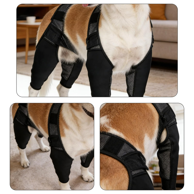 Dog Hind Leg Brace for ACL Injuries, Supports Joint Stability and Reduces Pain, Comfortable and Adjustable Dog Knee Brace Fit for All Breeds (Small)