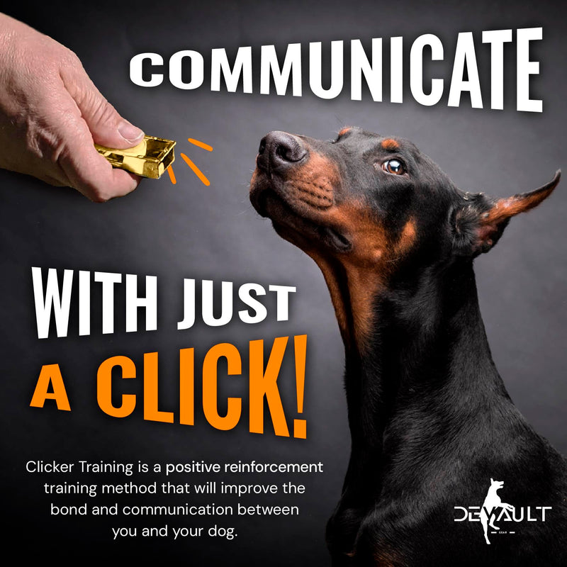 Gold Dog Clicker with Necklace - Clickers for Pet Training - Dog Training & Behavior Aids Easy to Carry with You Anywhere - Teach Your Dog Tricks or Reward His Behavior 1 Pack Gold - PawsPlanet Australia