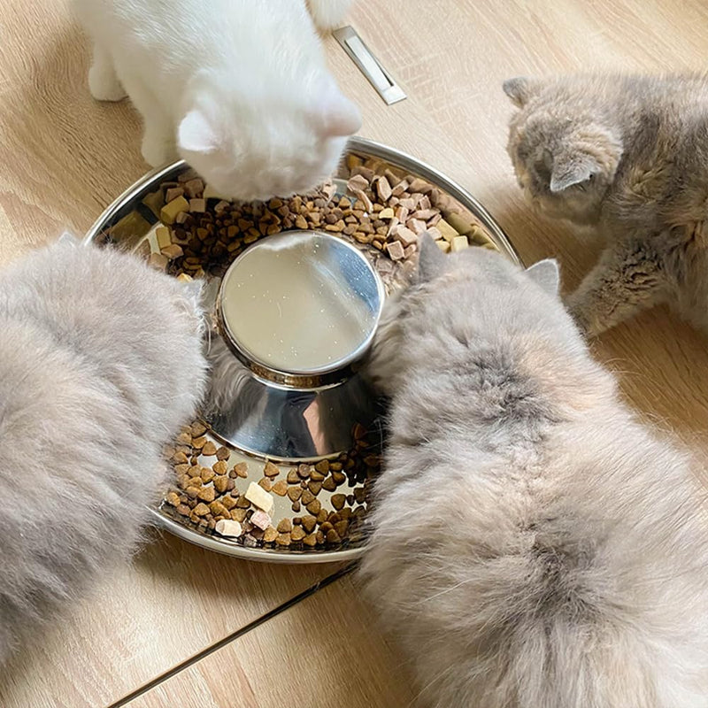 Stainless Steel Puppy Bowls 2 Pack, Pet Slow Feeder Bowls, Water Bowl, Feeding Weaning for Small Medium Large Dogs, Cat, Pets (2 Pack, Medium：1.3” x 10”) Medium：1.3” x 10” - PawsPlanet Australia