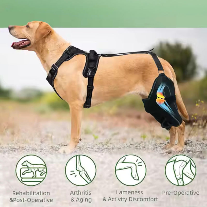 Dog Knee Brace for Hind twoLeg Support - Adjustable Hock Joint Wrap for ACL Ligament Injuries, Luxating Patella, and Arthritis Pain Relief, Best Recovery Sleeve for Injury Legs Dogs (Medium) Medium
