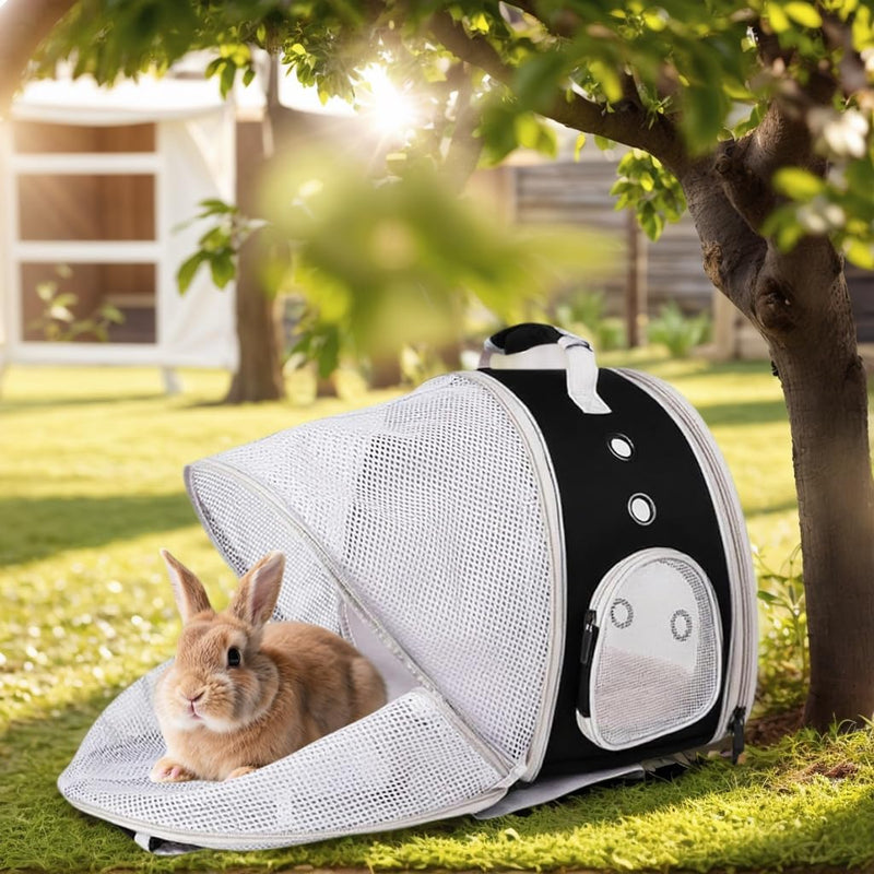 Back Expandable Backpack for Small Animals, Portable Travel Bag Breathable Pet Carrier Cages for Bunny, Guinea Pig, Bearded Dragon, Lizard, Rabbit, Squirrel, Tortoise, Kitten, Sugar Glider Black Back Extension