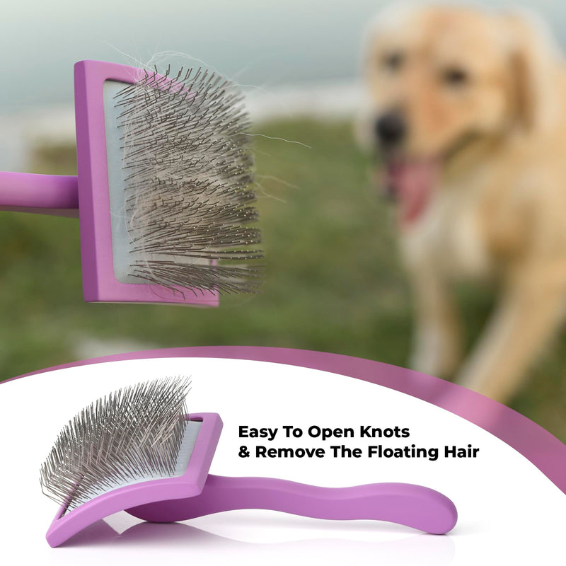 Poodle Pet Dematting Comb + Large Slicker Brush Bundle - PawsPlanet Australia