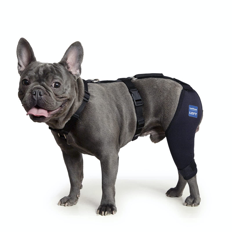 Dog Knee Brace with Harness and Connection Belt, Lightweight and Stretchable, Support for Torn ACL Hind Leg, Luxating Patella, Reduces Arthritis Pain and Inflammation (XX-Small) XX-Small