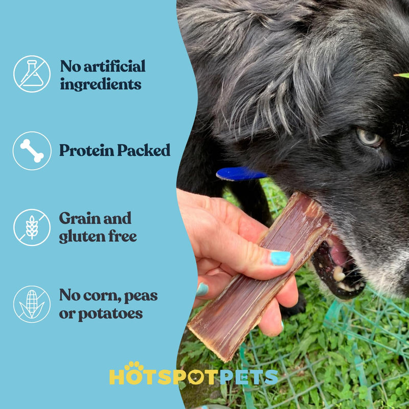 hotspot pets Beef Esophagus Dog Treats (6 INCHES) (1LB Bag) Grass Fed with No Added Hormone All Natural Jerky Dog Treats - Chews Rich in Glucosamine & Chondroitin for Joint Health 6 Inch - 1LB - PawsPlanet Australia