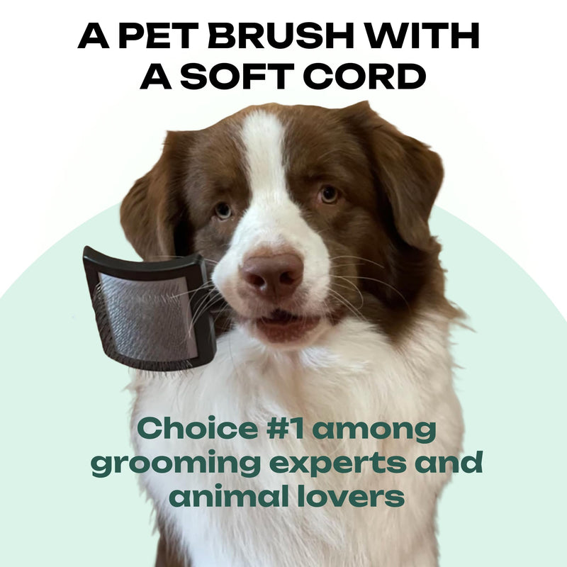 Natural Wooden Grooming Brush for Pets – Long Metal Pins Slicker for Dogs & Cats - PawsPlanet Australia