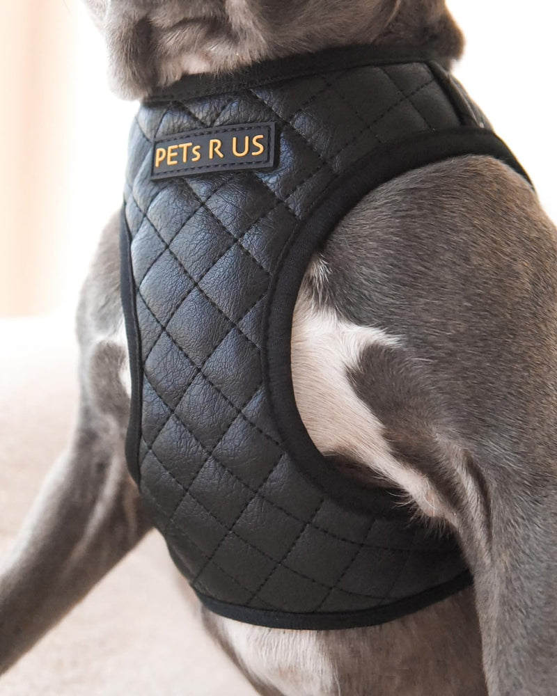 Step in Dog Cat Harness Choke Free Escape Proof Pet Vest Quilted Vegan Leather Breathable Mesh Padded for Small Medium Dogs (Black, Large) Black Large: Neck=12.5-14''/Chest:18-21'' - PawsPlanet Australia
