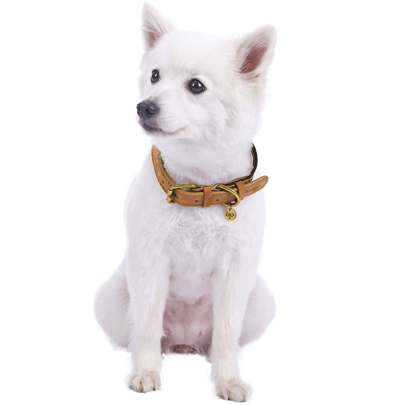 Blueberry Pet Soft & Comfy Genuine Full Grain Leather & Polyester Combo Adjustable Dog Collar - Classic Staple Striped in Chocolate and Taupe, Medium, Neck 15"-18" 1" Wide * (15"-18") Neck (Pack of 1) Leather & Polyester - Chocolate & Taupe - PawsPlanet Australia