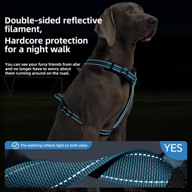 Reflective Dog Harness, Adjustable L-Shape Vest for Small Medium Large Dogs, No Pull Pet Harness for Walking and Training, Enhanced Comfort and Safety (Pack of 1 Blue, S) - PawsPlanet Australia