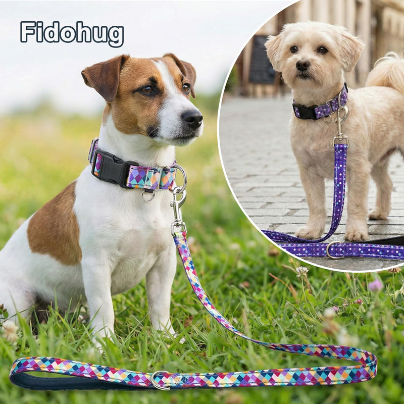 Reflective 5ft Dog Leash with Padded Handle, Soft Nylon Pet Leash with Neoprene Handle for Small Dogs, Colorful Geometric 5/8in x 5ft - Single Handle - PawsPlanet Australia
